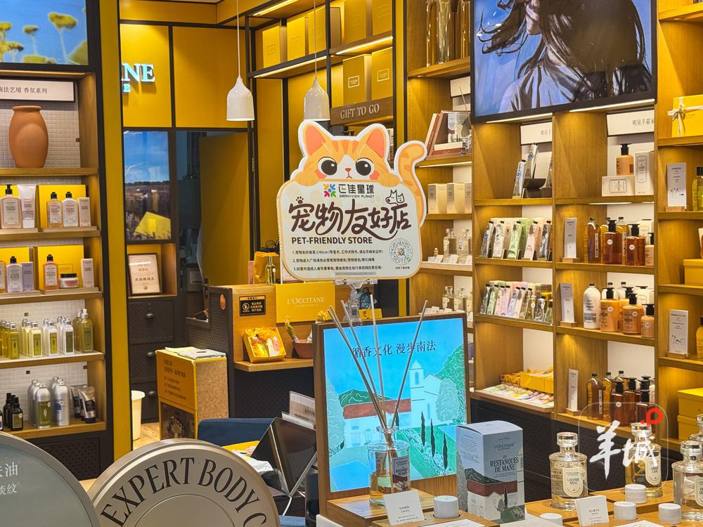 宠物友好店 宠物友好店