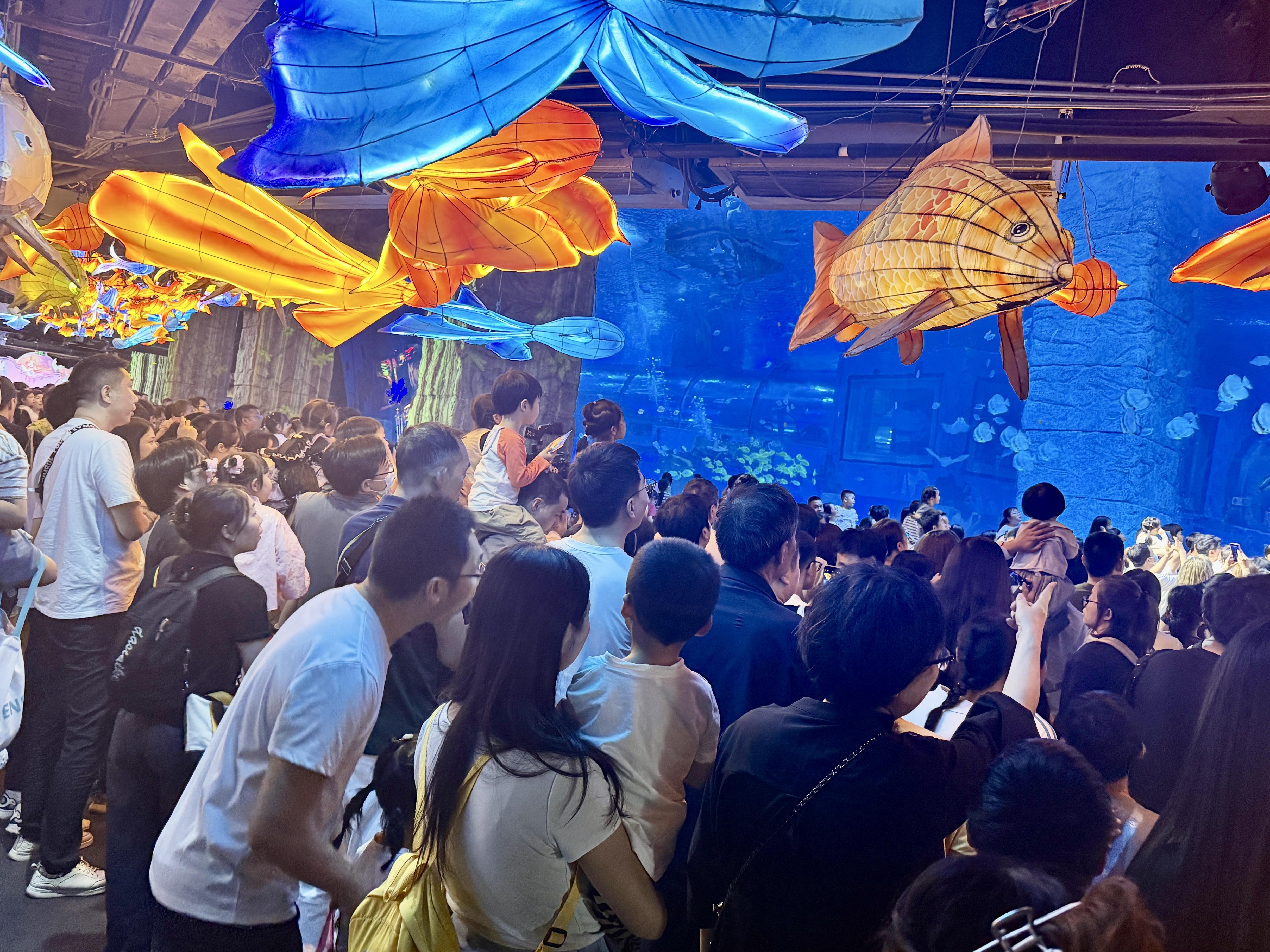  清明假期首日，正佳极地海洋世界迎来海量客流 景区供图