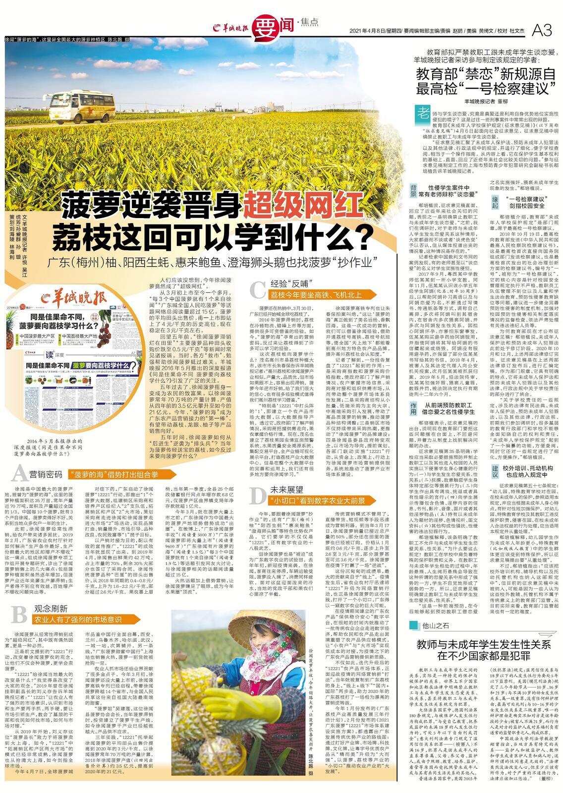 羊城晚报2021年报道《菠萝逆袭晋身超级网红 荔枝这回可以学到什么？》，点击图片跳转阅读报道