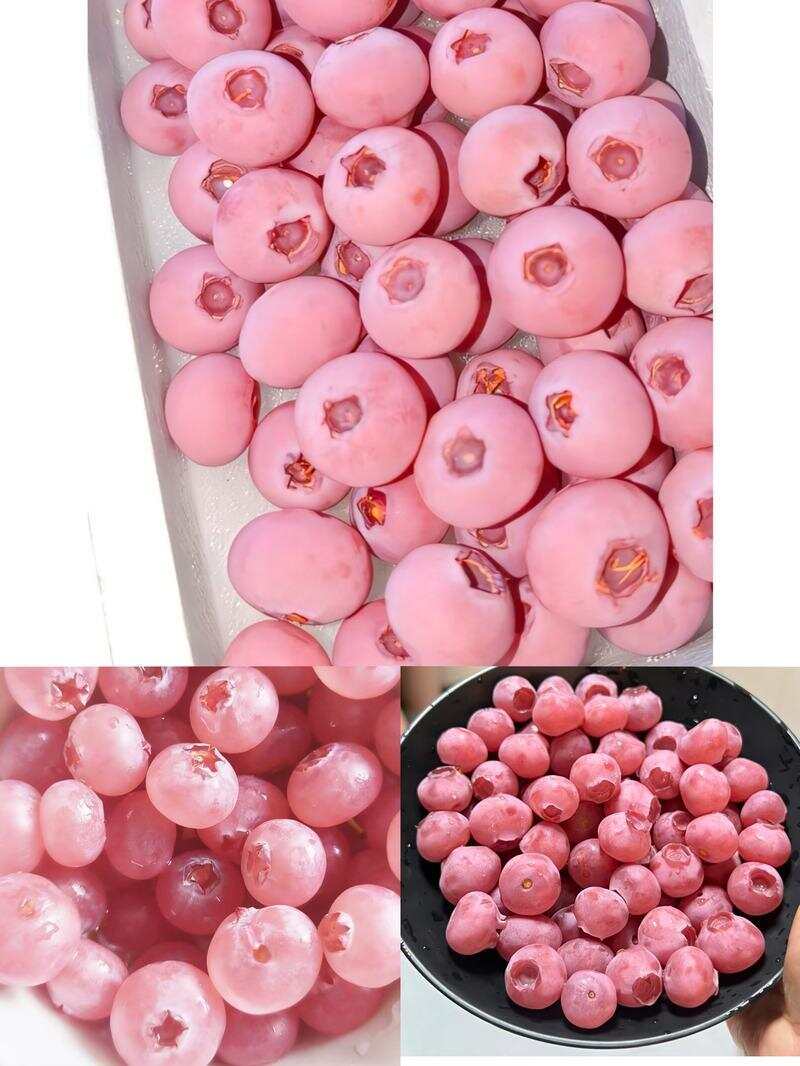 社交媒体上的部分粉色蓝莓图片。 社交媒体截图