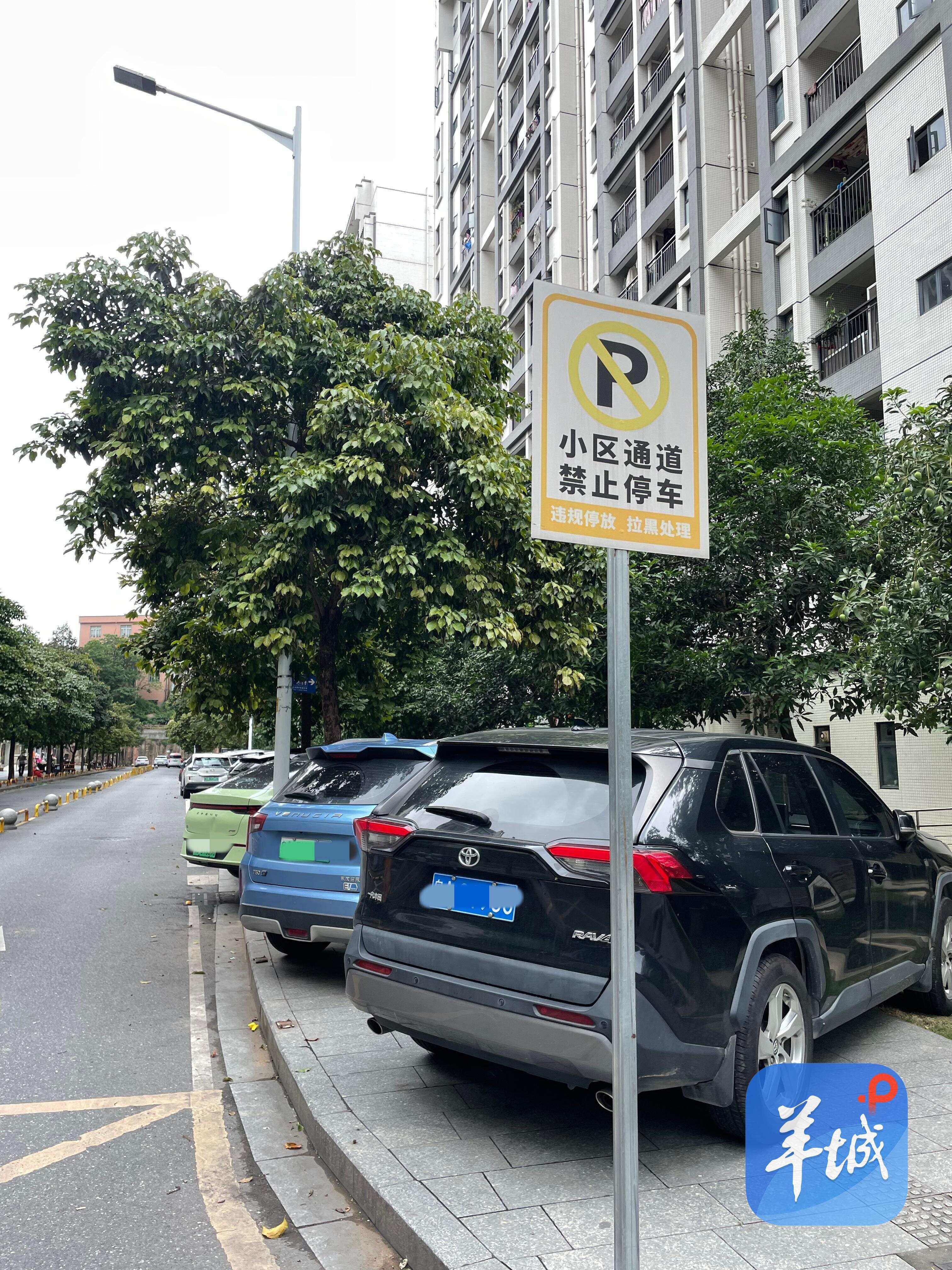 珠江嘉苑小区的违停车辆 珠江嘉苑小区的违停车辆