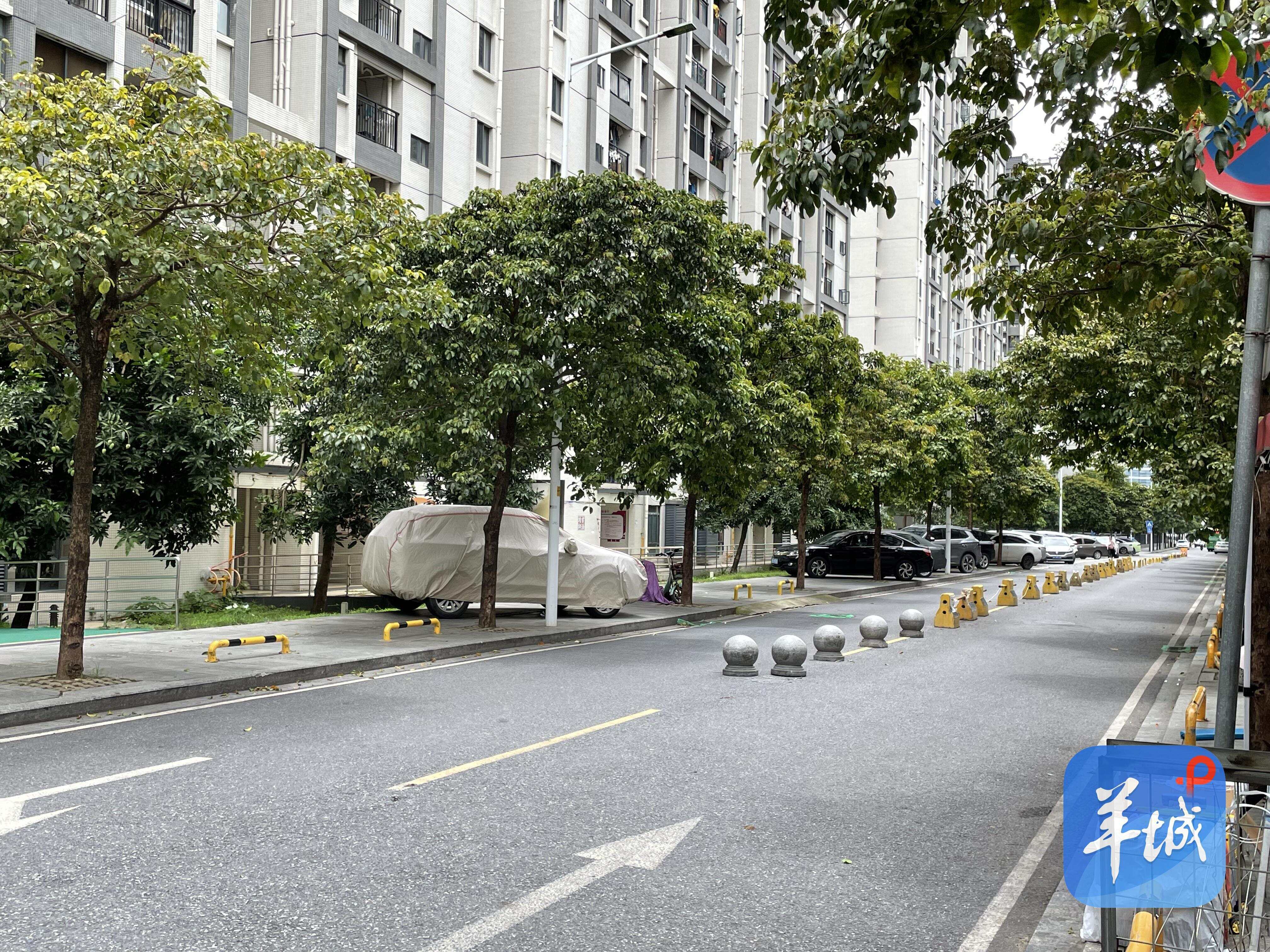有违停车辆盖上遮挡布 有违停车辆盖上遮挡布