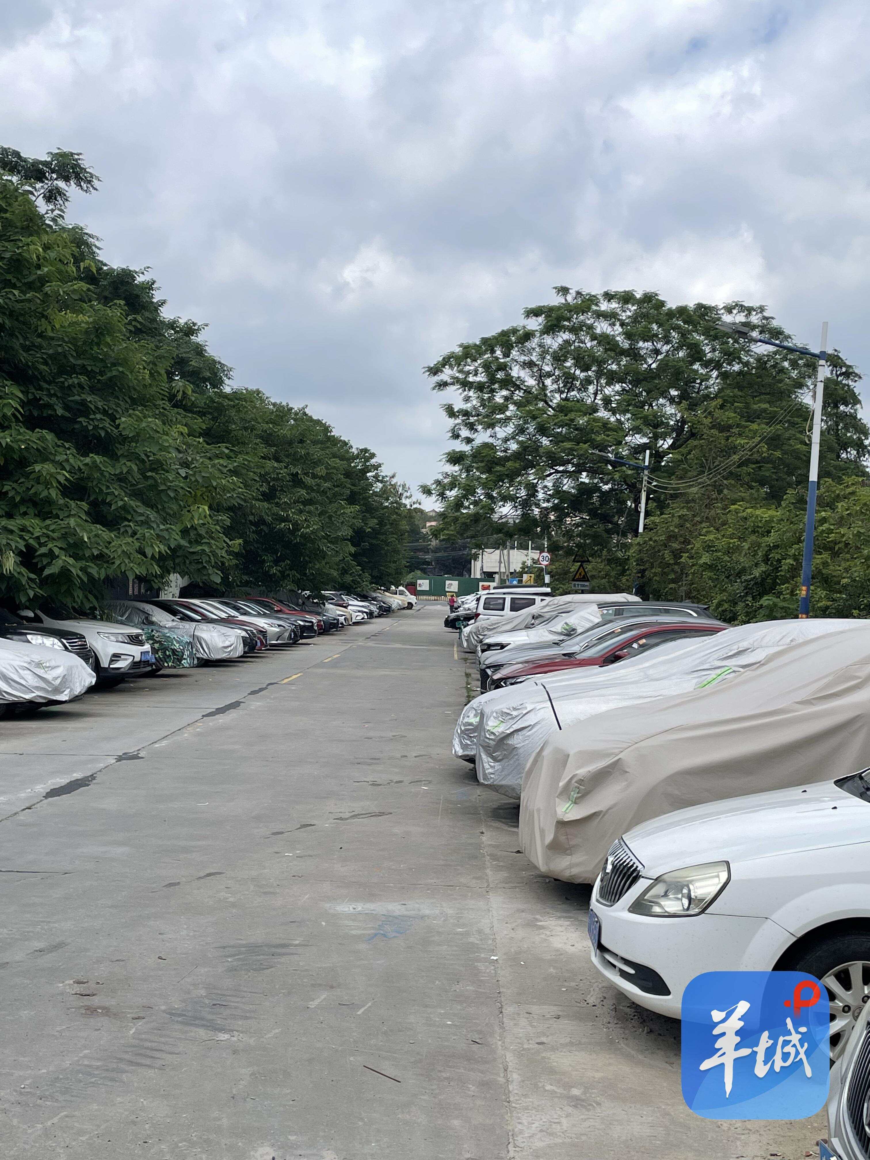 河涌岸边道路停放了大量机动车 河涌岸边道路停放了大量机动车
