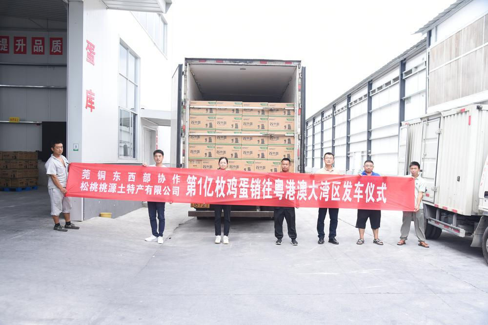  粤黔协作铜仁松桃县生产的第1亿枚鸡蛋销往粤港澳大湾区发车仪式。