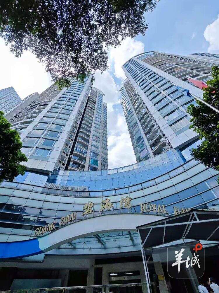 碧海湾交付已达约20年