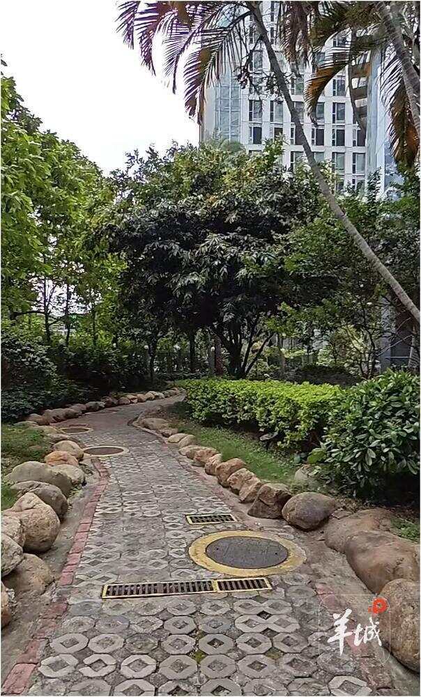 据介绍，现在花园此处原来被用作菜地