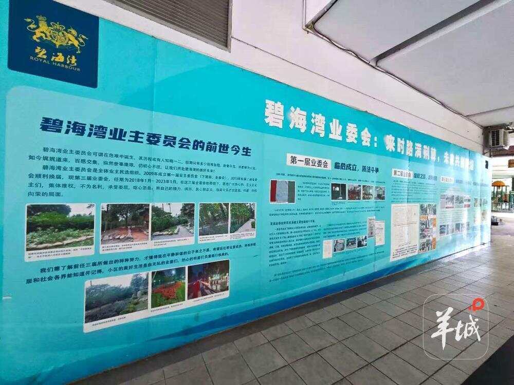 碧海湾业委会在小区里“管事管钱”齐心治理家园
