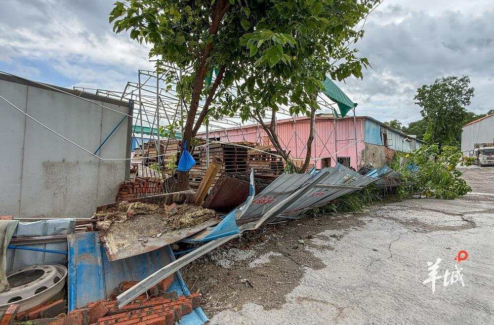 损毁的仓库及倒塌的墙体 损毁的仓库及倒塌的墙体