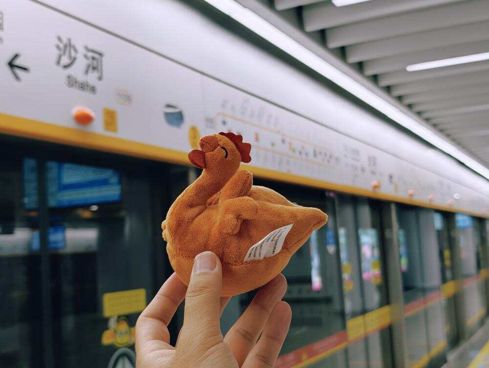 “鸡有鸡味”羊城通交通卡 “鸡有鸡味”羊城通交通卡