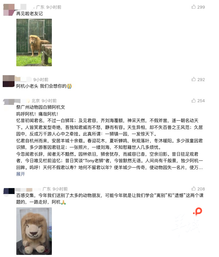 评论区里字字句句都是对阿杭深深的不舍 评论区里字字句句都是对阿杭深深的不舍