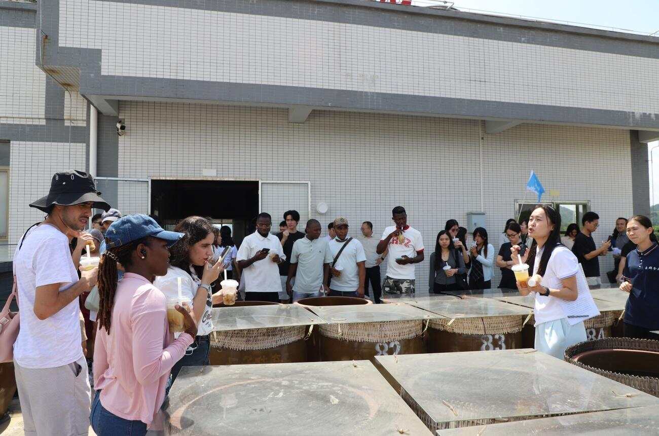 参观企业，了解黄皮酱油的制作过程