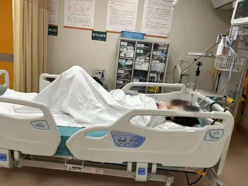 “芝麻”在医院接受治疗。来源：南都