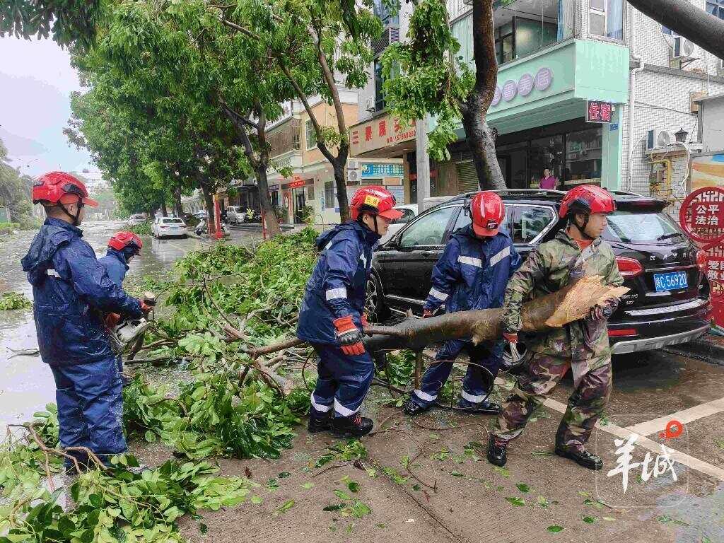 清理倒伏树木，保障群众出行