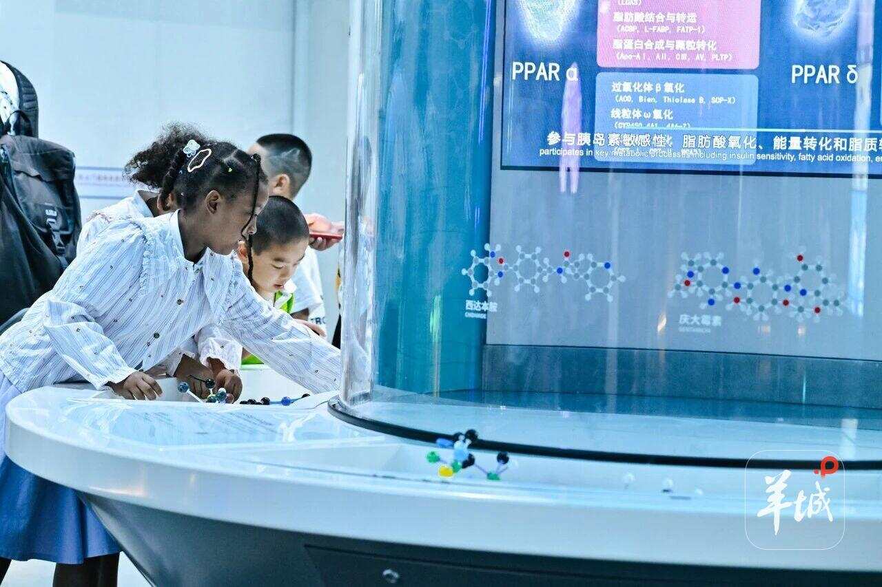 24大主题空间展现数字文明发展图景