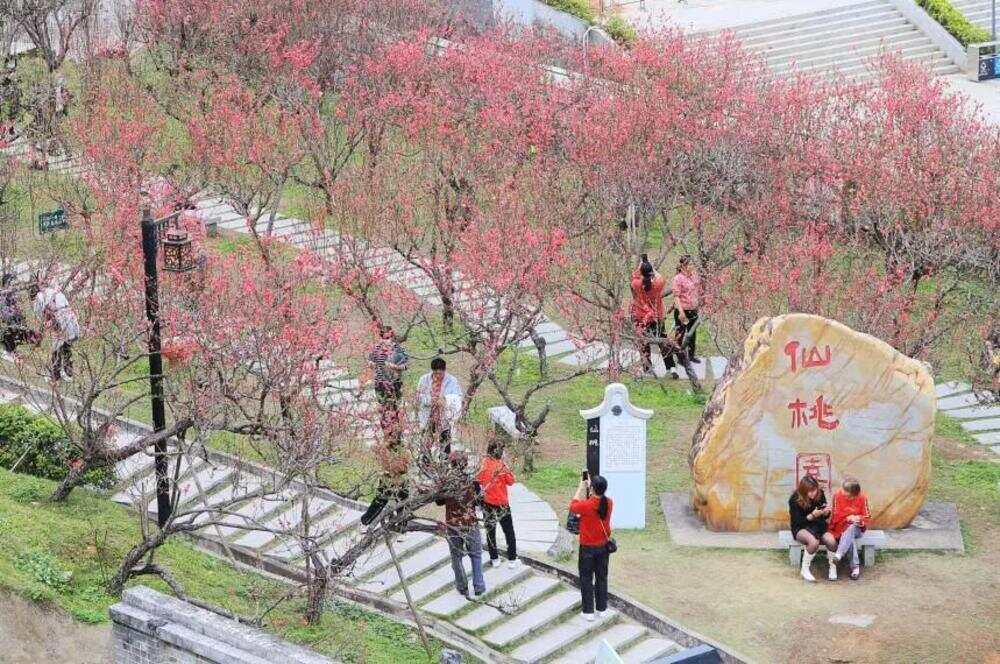  小楼仙桃园