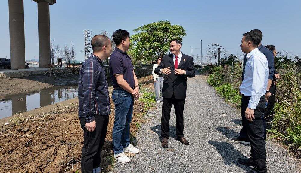 广东首例以“劳务代偿+异地修复”方式执行的海洋环境民事公益诉讼案，法官现场调查植树和清淤情况。通讯员供图