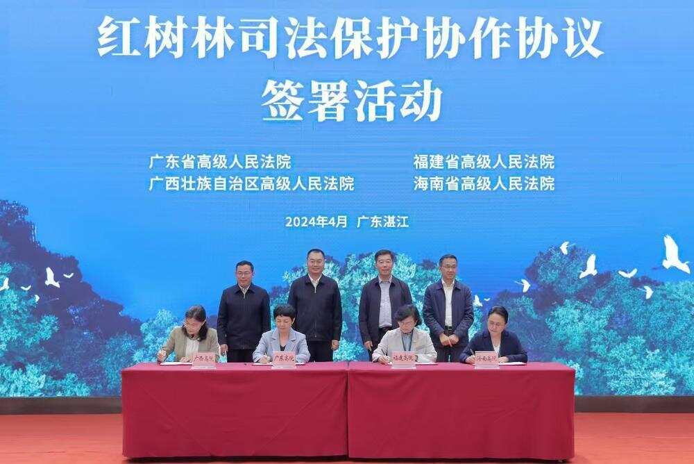 广东、福建、广西、海南四省（区）高级人民法院共同签署红树林司法保护合作协议。通讯员供图