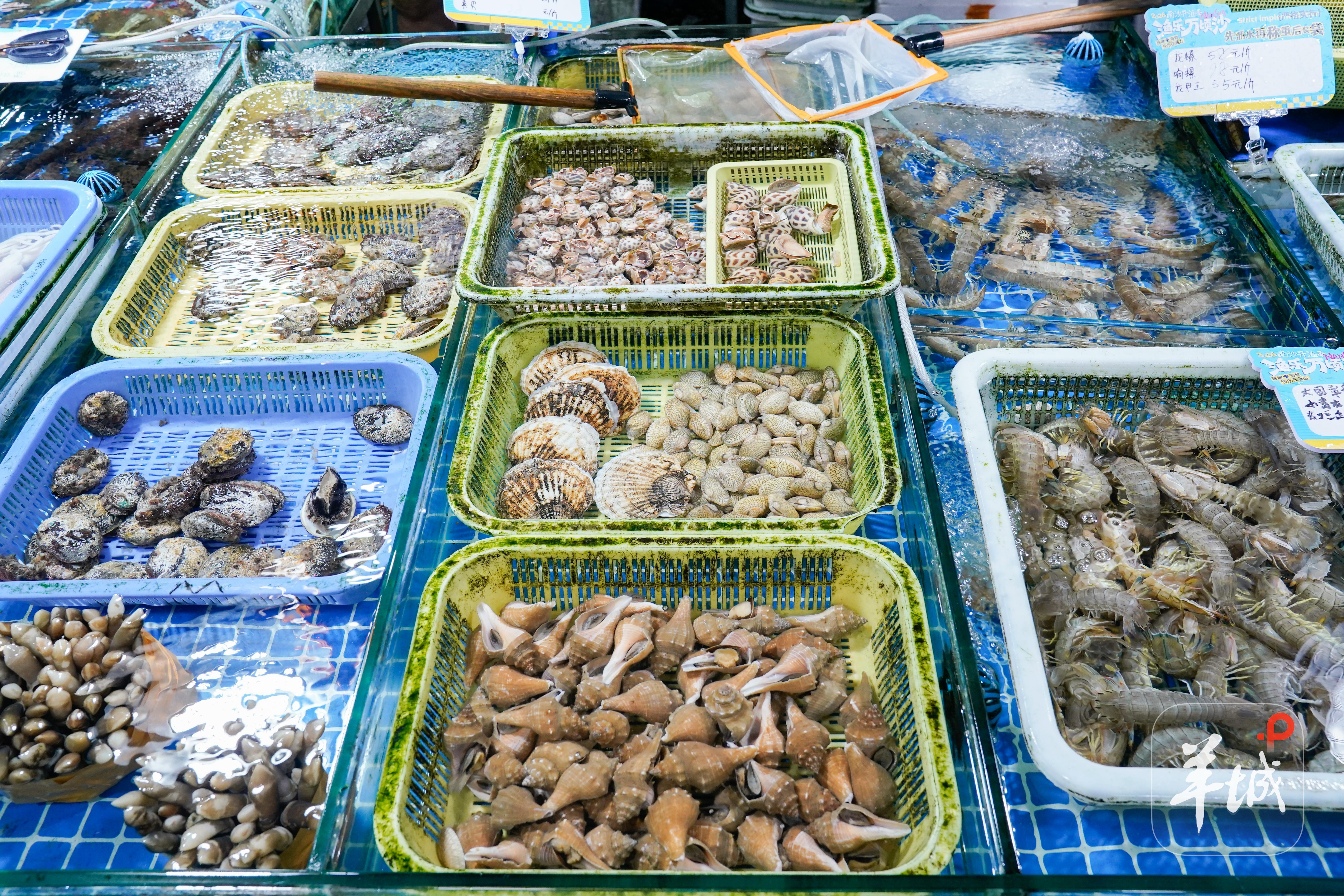 新鲜的海鲜