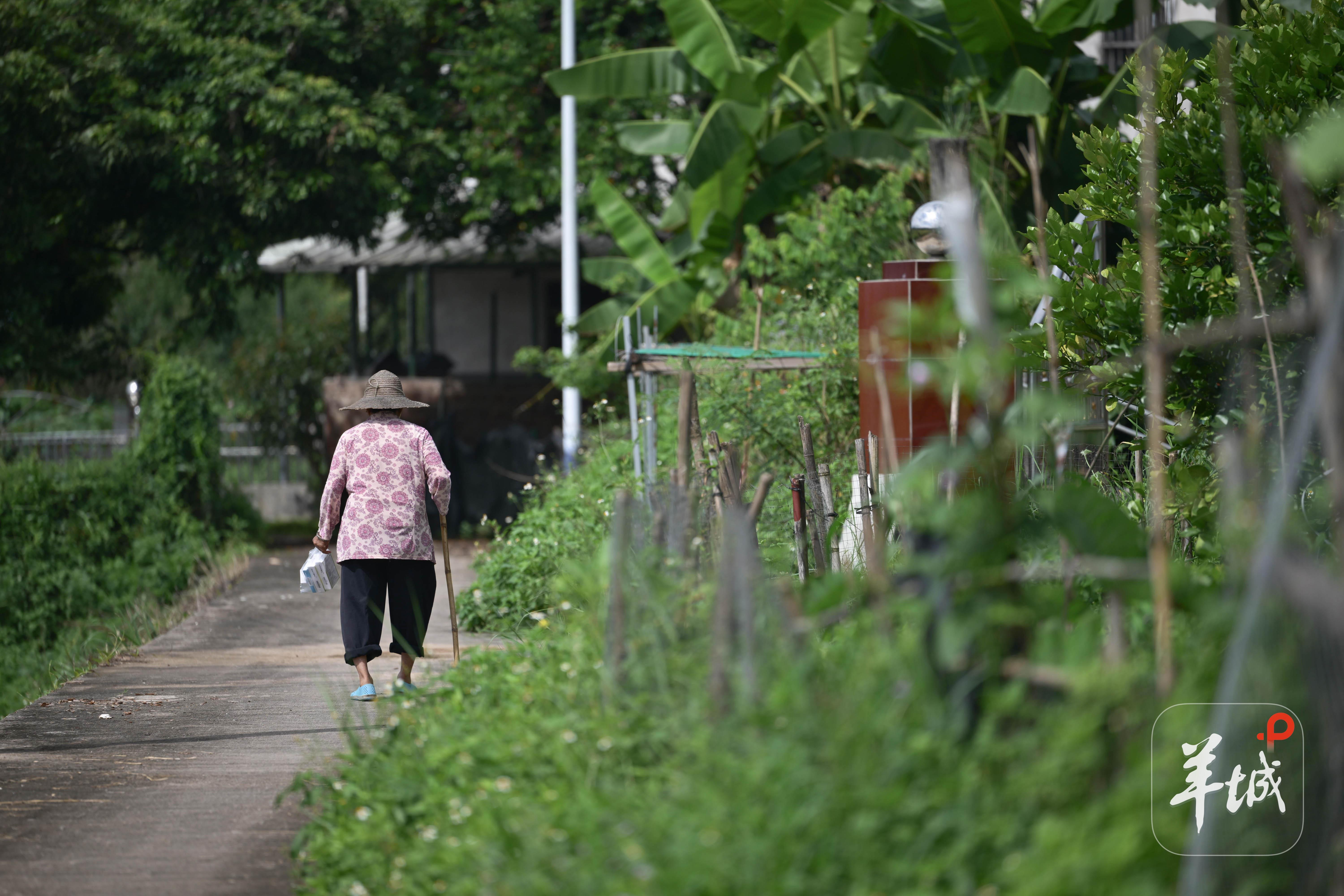 村里的老人在村卫生站拿了药走回家