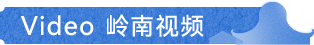 VIDEO 视频