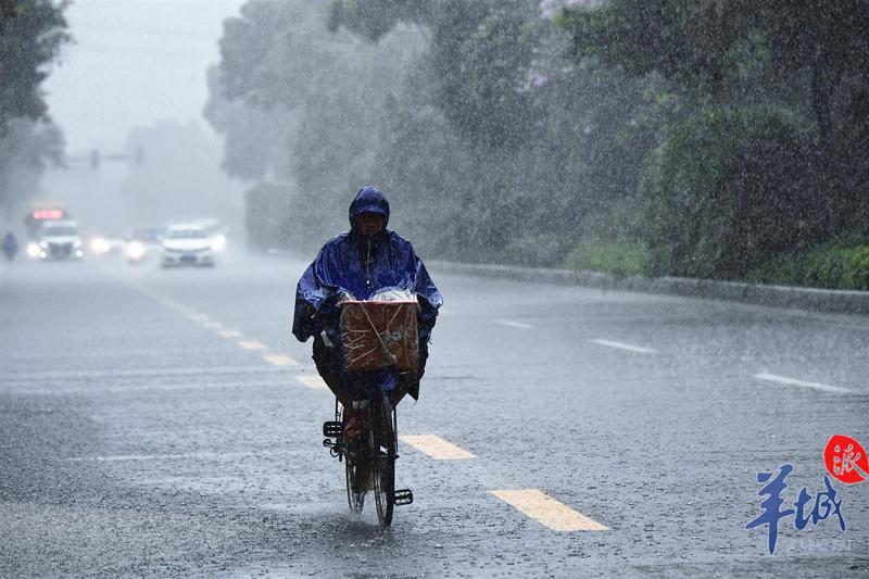 广州9区被暴雨黄色预警狂刷屏后全市迎来寒冷预警