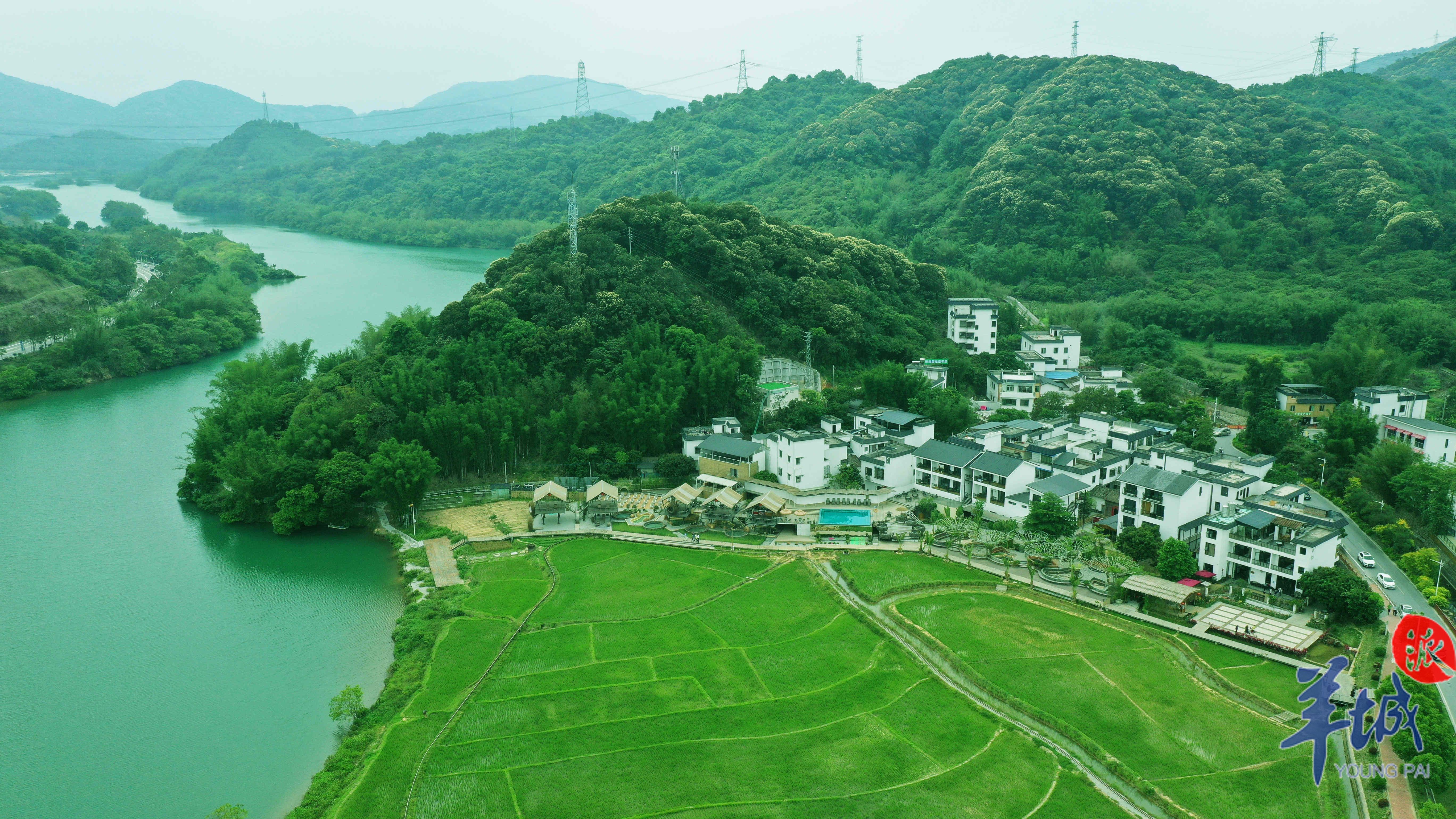 图集青山绿水连成美好的诗篇广州乡村游焕发生机