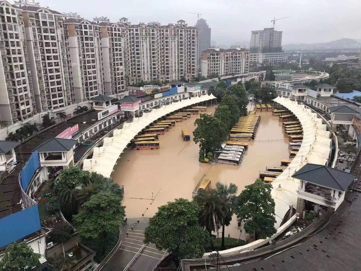 20年來最大！ 中國廣州「大暴雨」洪水淹多區 學校全面停課_兩岸 | 壹新聞