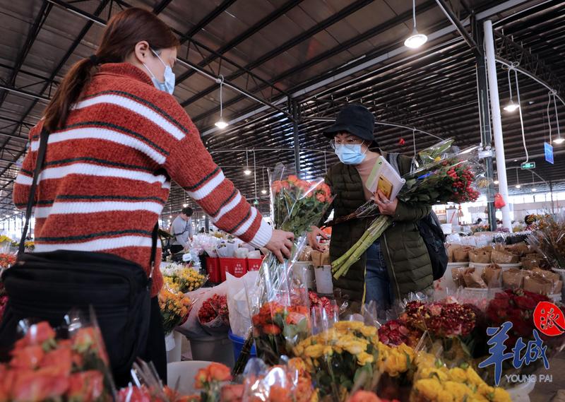 鲜花价格略上涨 盆桔或许有积压 记者实地走访岭南花卉市场