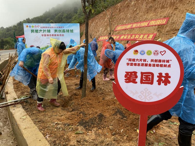 植树现场2（李巧摄）.jpg