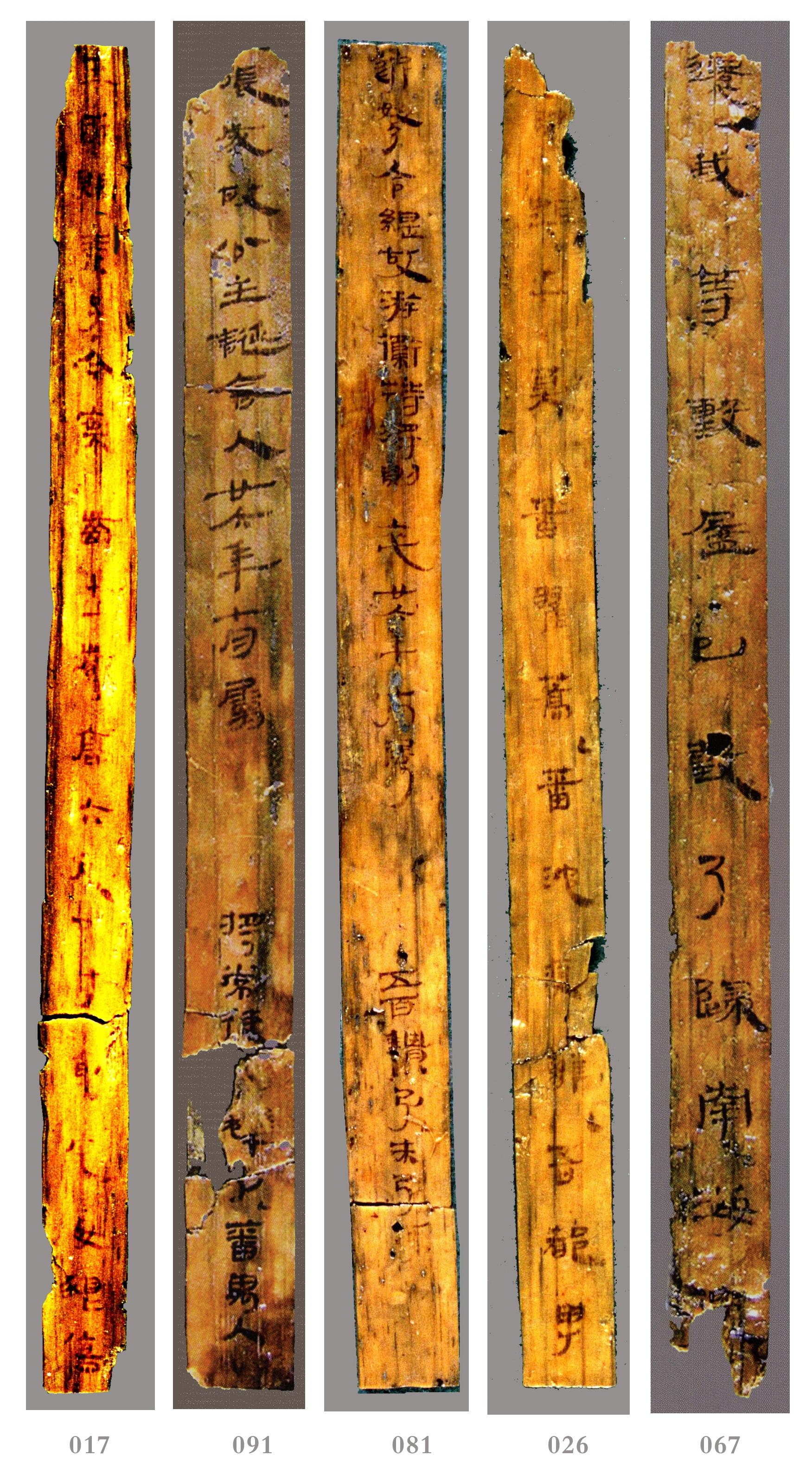 探寻南越王陵故苑,再现岭南古国文明