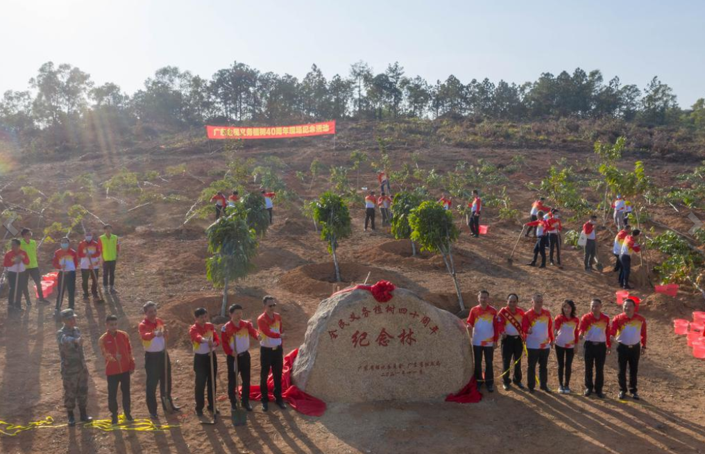 全民义务植树40周年纪念林落户蒂峰公园1981年12月,中国通过《关于