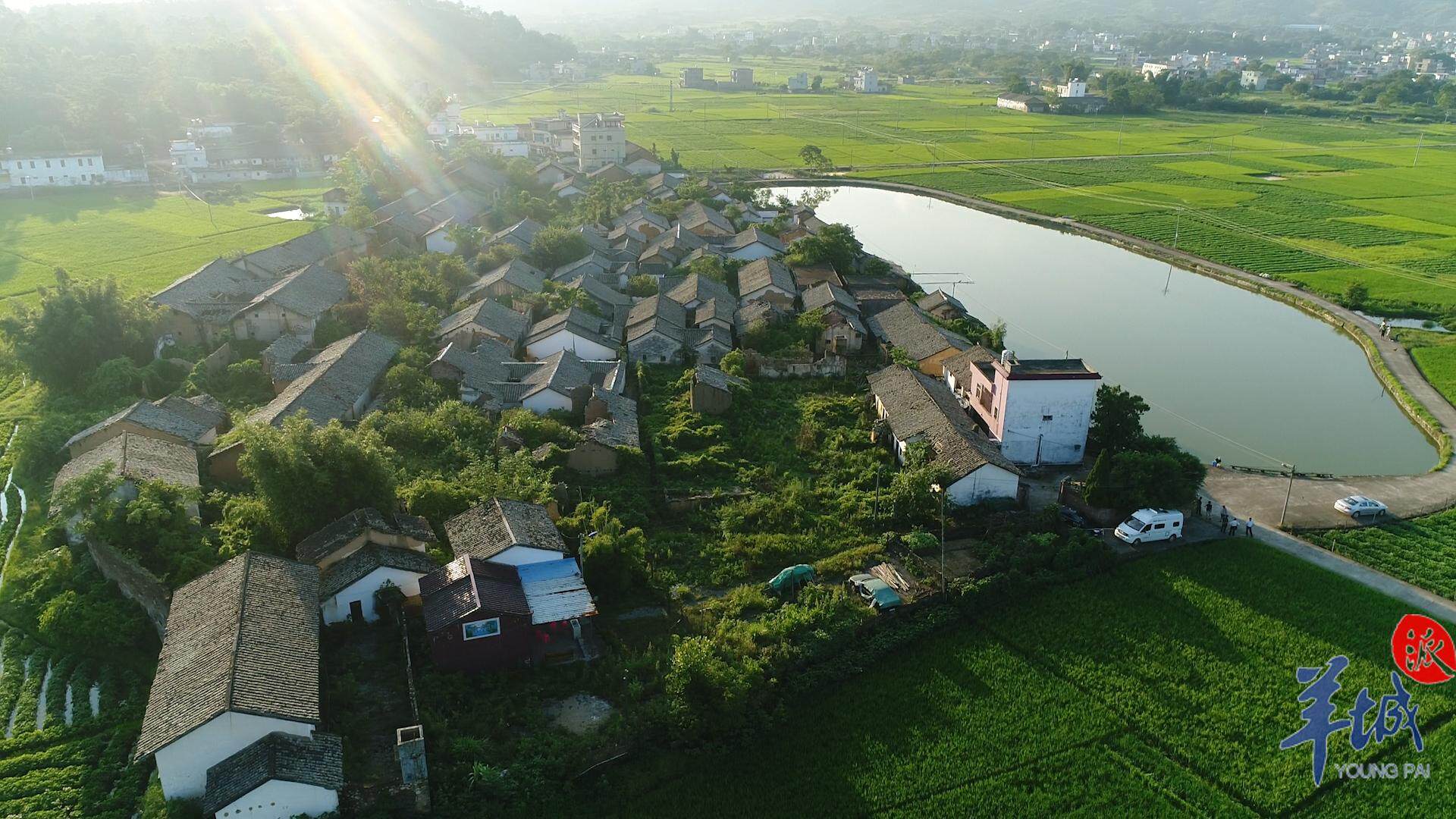 连平九连山风景区图片